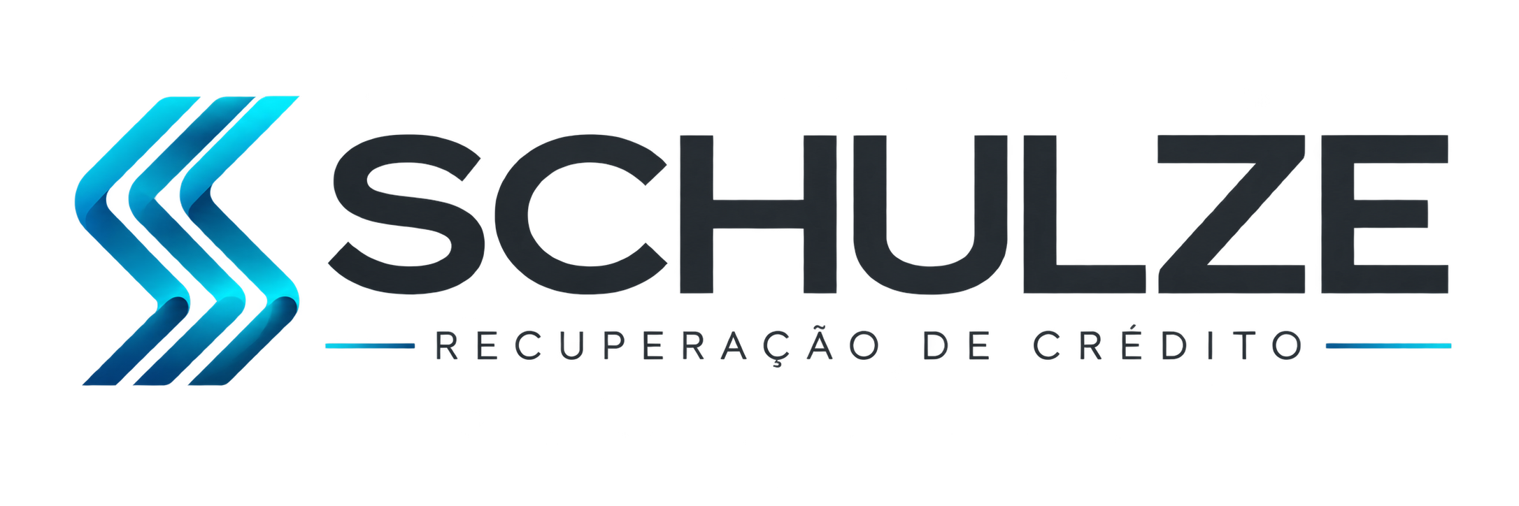 Schulze Recuperação de Crédito
